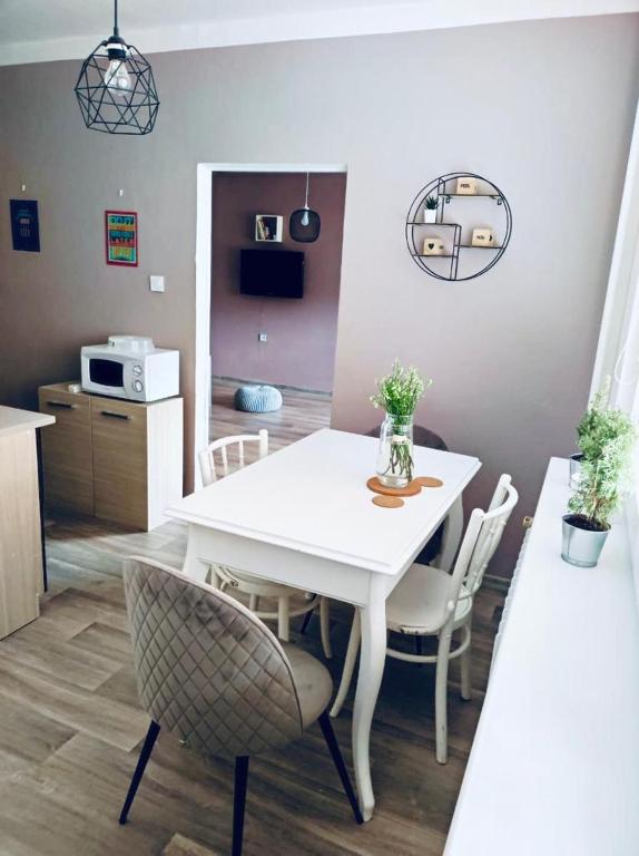 Kuchyň nebo kuchyňský kout v ubytování Apartmán Domov Děčín