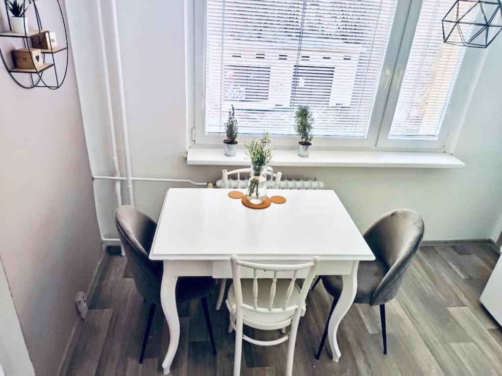 Fotografie z fotogalerie ubytování Apartmán Domov Děčín v destinaci Děčín