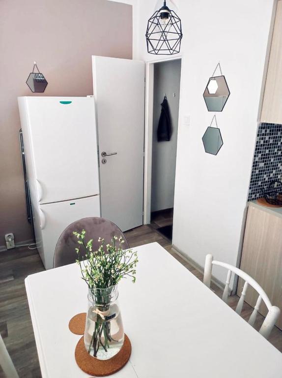Kuchyň nebo kuchyňský kout v ubytování Apartmán Domov Děčín