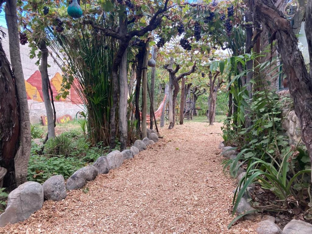 un camino en un jardín con árboles y rocas en Casa Prana Estudio de Yoga en Cafayate