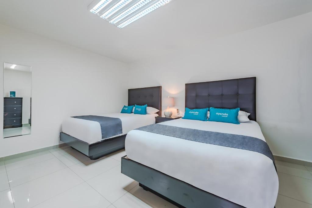 Suites Ejecutivas Monterrey - Superieure Viervoudige Kamer