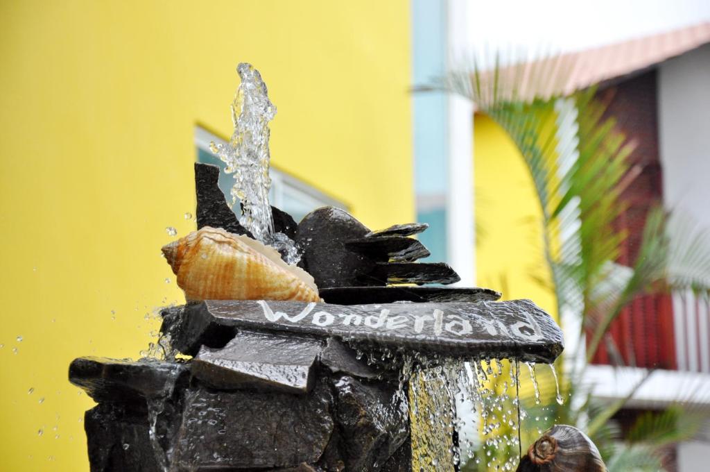 Fotografie z fotogalerie ubytování Hotel Canoa´s Wonderland v destinaci Canoa