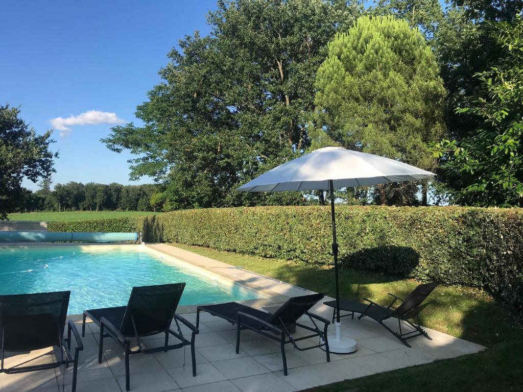a patio with chairs and an umbrella next to a pool at Villa charmante à Dunes avec piscine privée in Dunes