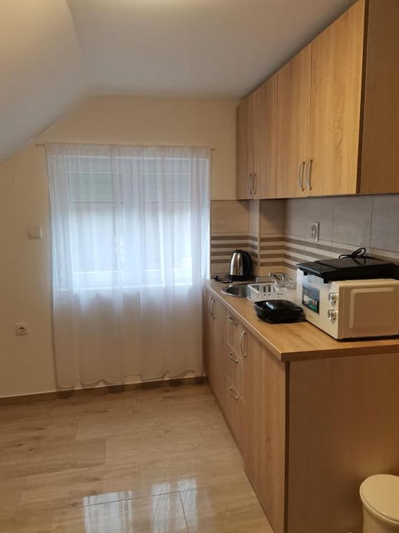 Kuchyň nebo kuchyňský kout v ubytování Vila Lux Nedeljkovic Gornja Trepca