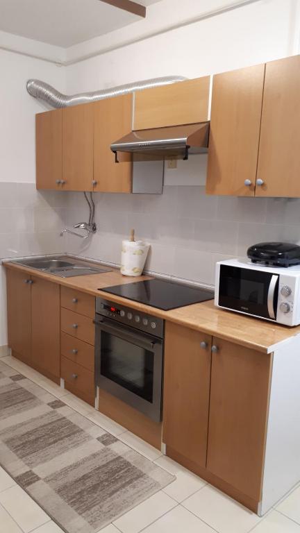 Kuchyň nebo kuchyňský kout v ubytování Apartman Panorama