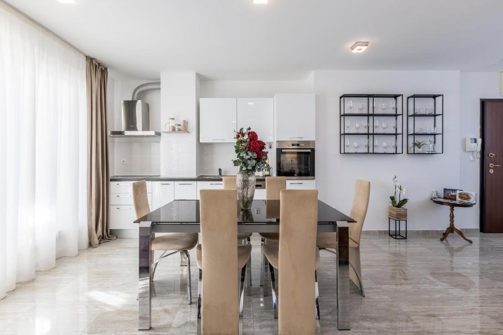 Kuchyňa alebo kuchynka v ubytovaní Luxury rooftop apartment Zalato