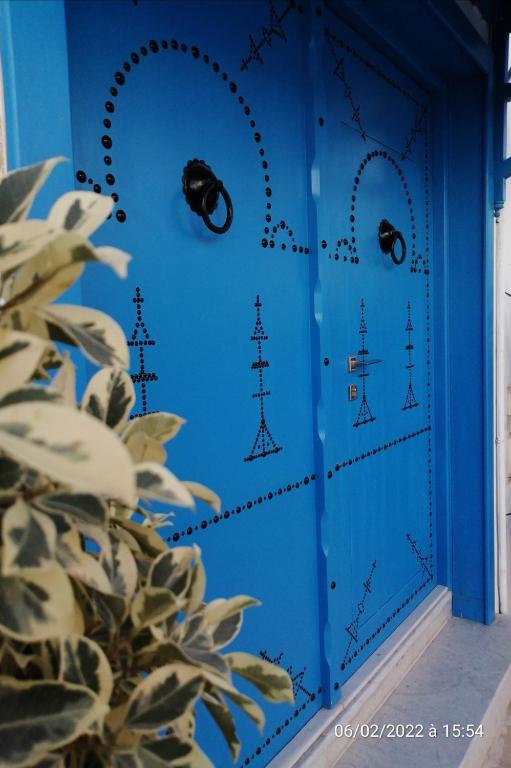 Bolbol - отзывы и видео