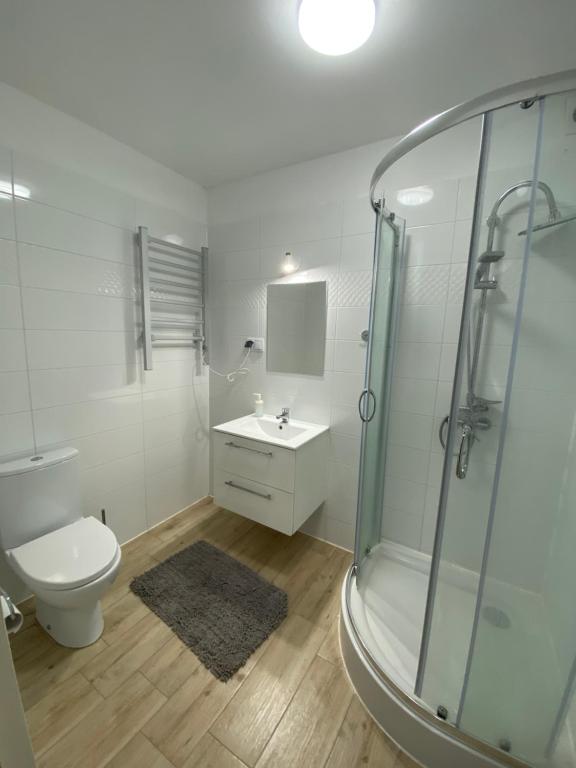 Hotelik Nad Zalewem 10 km od Legnicy - Habitación Triple Con Baño Privado