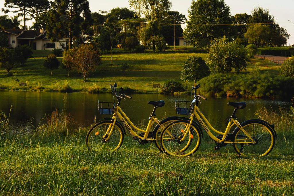 Attività di ciclismo presso l'hotel o nelle vicinanze