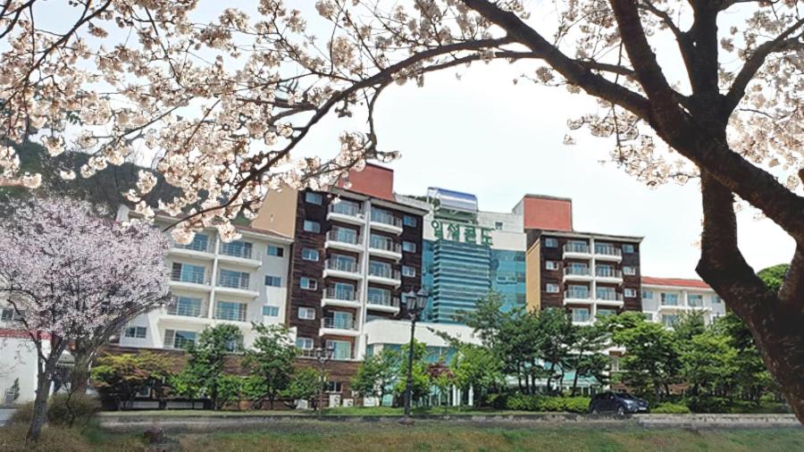 un grande condominio con alberi di fronte di Muju Ilsung Condo a Muju