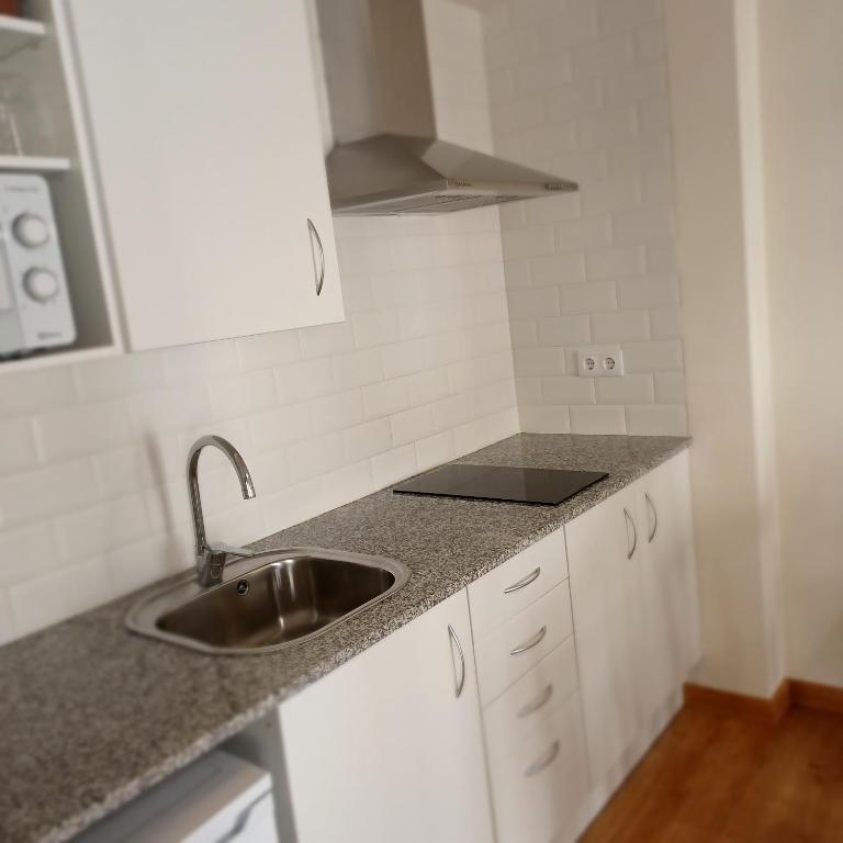Kuchyň nebo kuchyňský kout v ubytování Apartaments Casa el Metge