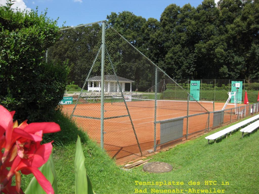 Tenis a/nebo squash v ubytování Weingut Franz Schäfer nebo okolí