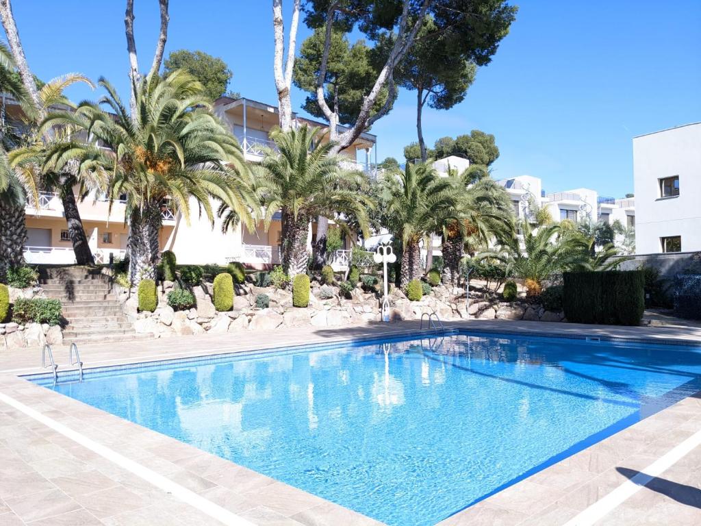 einen Pool in einem Resort mit Palmen in der Unterkunft Apartamento Cala del Pi in Platja  d'Aro