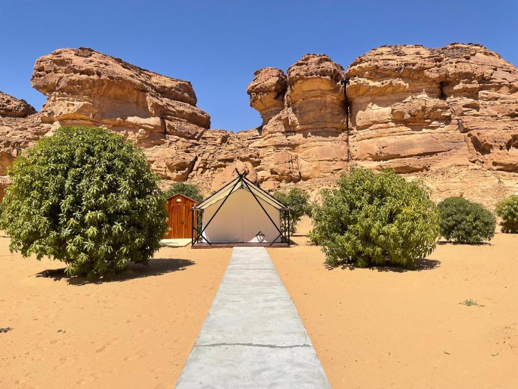 a tent in the middle of a desert with trees at 26North Glamping in Al Ula