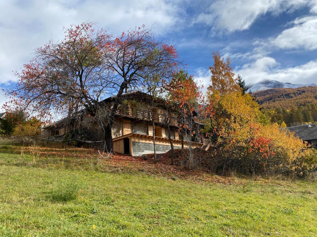 une vieille maison sur une colline avec un arbre dans l'établissement Maison de montagne Alpes du sud/station Les Orres, aux Orres