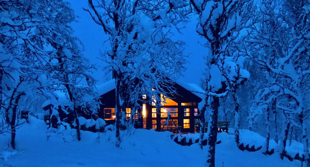 a log cabin in the snow at night at Venehovda - cabin at 1000 masl in Al