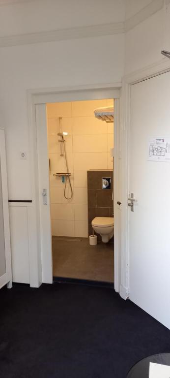 a room with a bathroom with a toilet in it at Stad &amp; Strandhotel Elisabeth in Vlissingen
