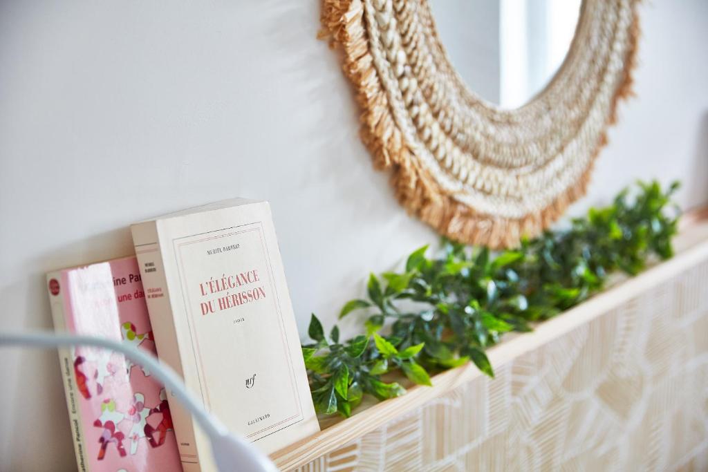 a mirror on a shelf with books and a plant at Demeure de Manneville - SPA - 1Km des plages de Cabourg in Dives-sur-Mer