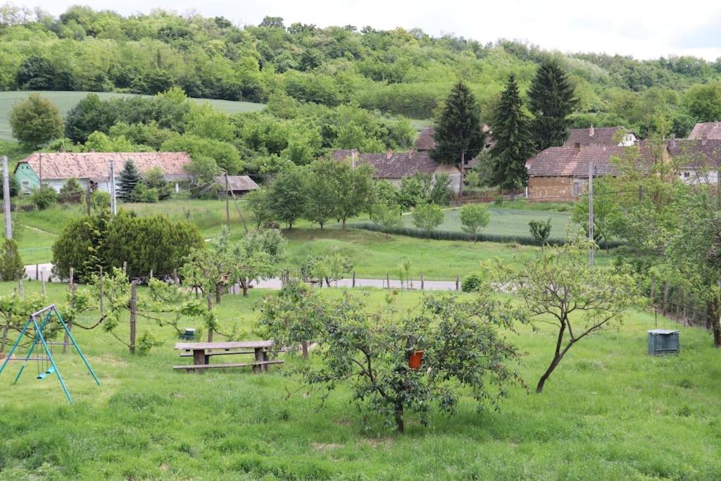 Fotografia z galérie ubytovania Szajkó Vendégház v destinácii Mucsi