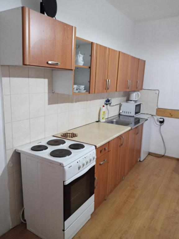 Kuchyňa alebo kuchynka v ubytovaní Apartmány Božka