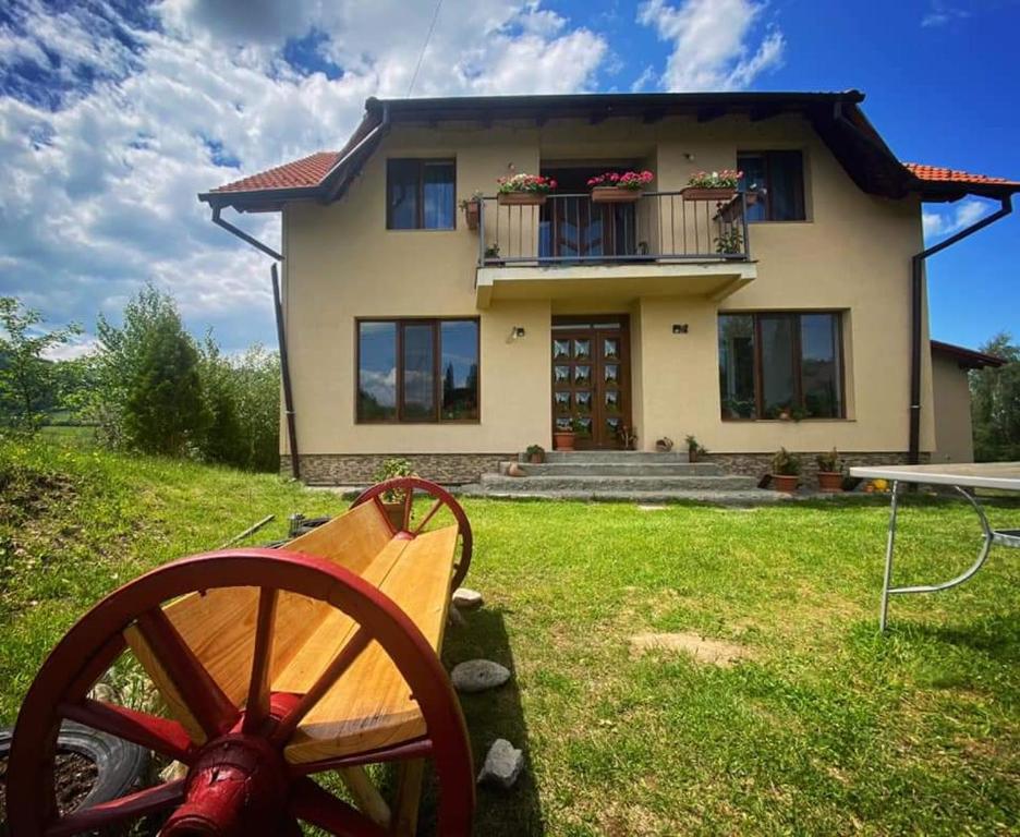 una casa con un cañón delante de ella en Casa Flavia, en Poiana Mărului