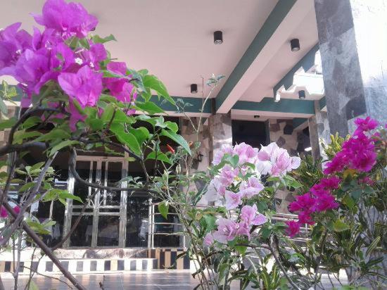 little rose inn - Housity
