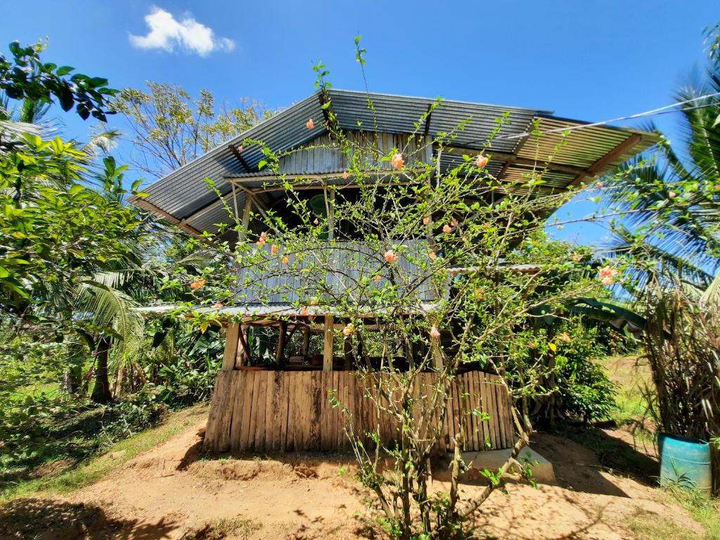 Zahrada ubytování La Muñequita Lodge 2 - culture & nature experience