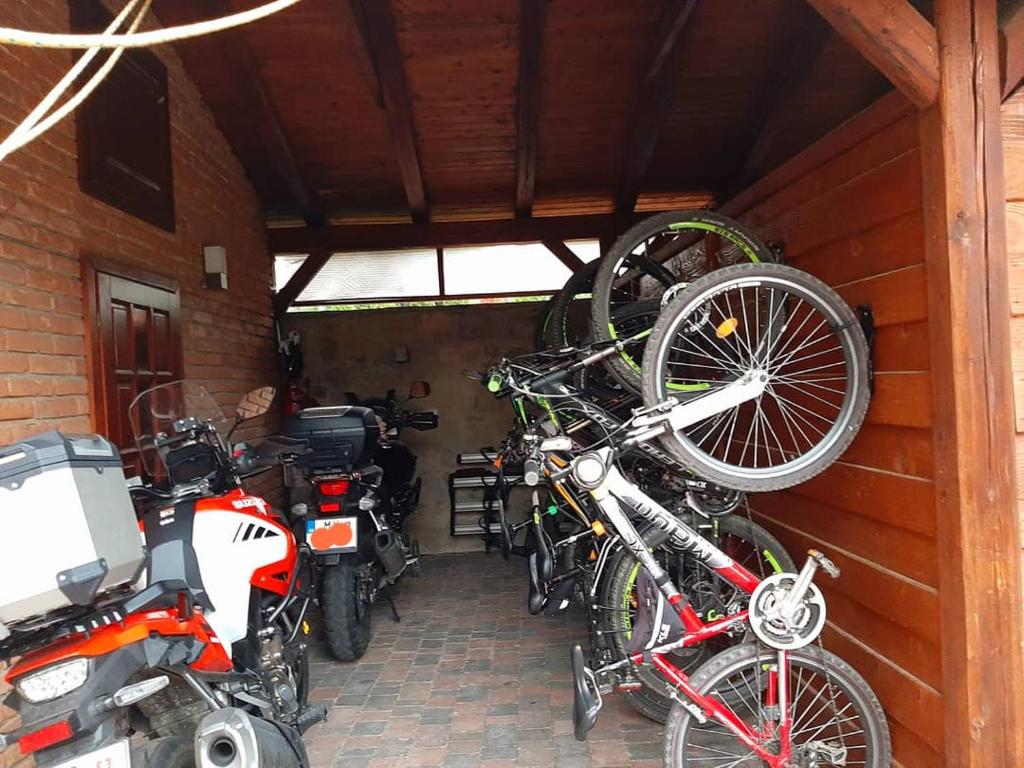 Jízda na kole v ubytování B&B Penzión Magura nebo okolí