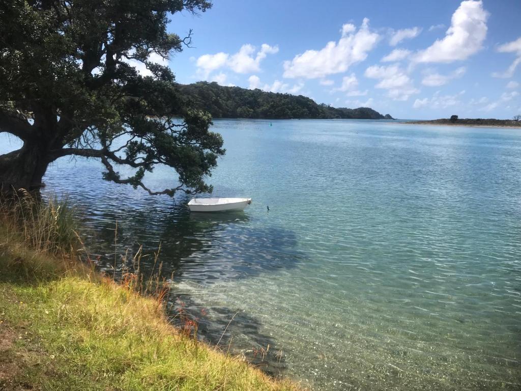 a boat sitting in the water next to a tree at Frangipani guesthouse -Ngunguru in Whangarei