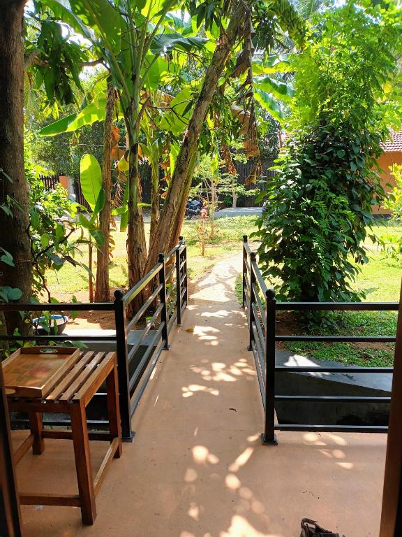 Mango Tree House - 5