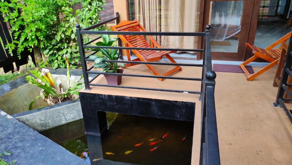 Mango Tree House - 13