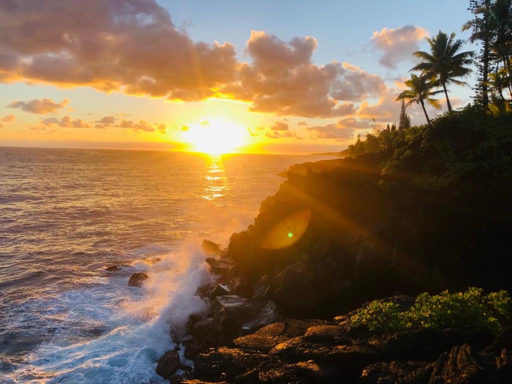 a sunset over the ocean with palm trees on a cliff at Wild Blue Water in Pahoa