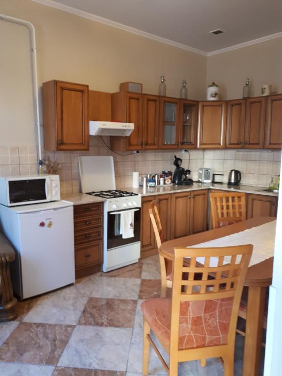 Kuchyň nebo kuchyňský kout v ubytování Edina Apartman