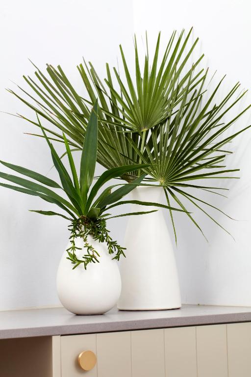 The Clovelly Hotel - Resim 43