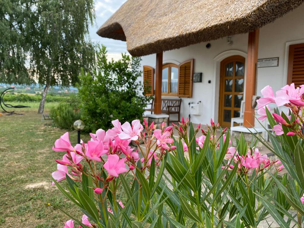 una pequeña casa con flores rosas delante en Emese Apartman Cserszegtomaj, en Cserszegtomaj