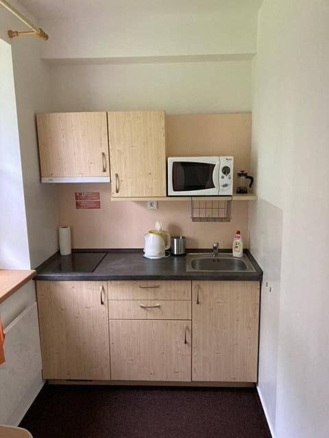 Kuchyň nebo kuchyňský kout v ubytování Horský apartmán Prášily