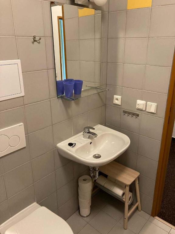 Koupelna v ubytování Horský apartmán Prášily