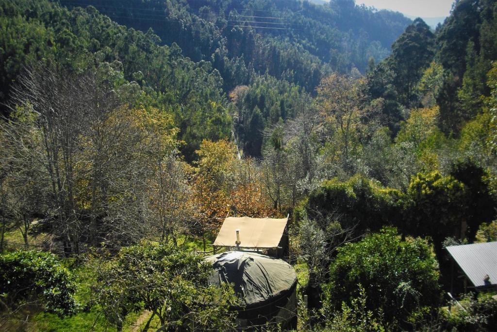 a house in the middle of a valley with trees at Green Man yurt in Penela