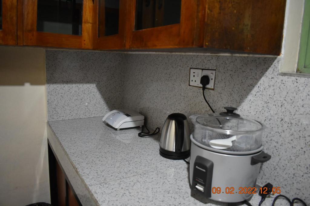 Kuchyň nebo kuchyňský kout v ubytování New Mount Villa