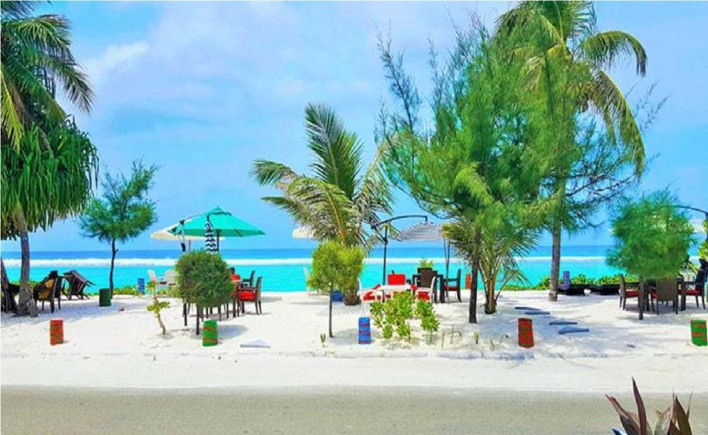 フルマーレにあるRivethi Beachのヤシの木が植えられたビーチ