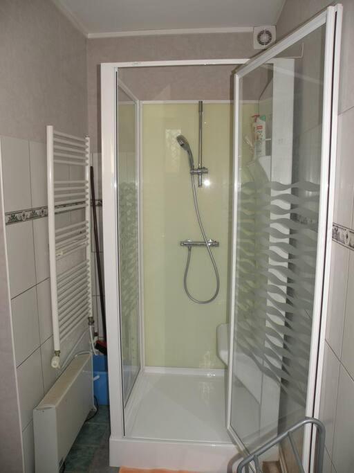 y baño con ducha y puerta de cristal. en Charmant Studio à Belfort quartier Vosges, en Belfort