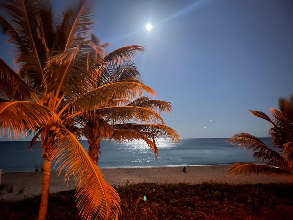 - une vue sur la plage bordée de palmiers et l'océan dans l'établissement Studio BTS - Lauderdale-By-The-Sea, à Pompano Beach