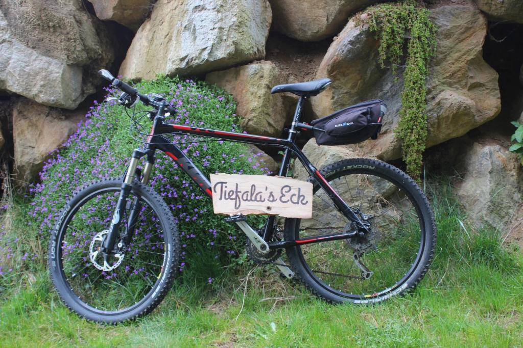 Jazda na bicykli v okolí ubytovania Tiefala's Eck