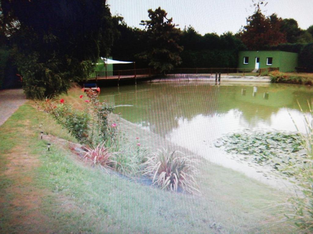 einen Teich mit einigen Vögeln im Wasser in der Unterkunft Détente à la campagne in Cossé-le-Vivien