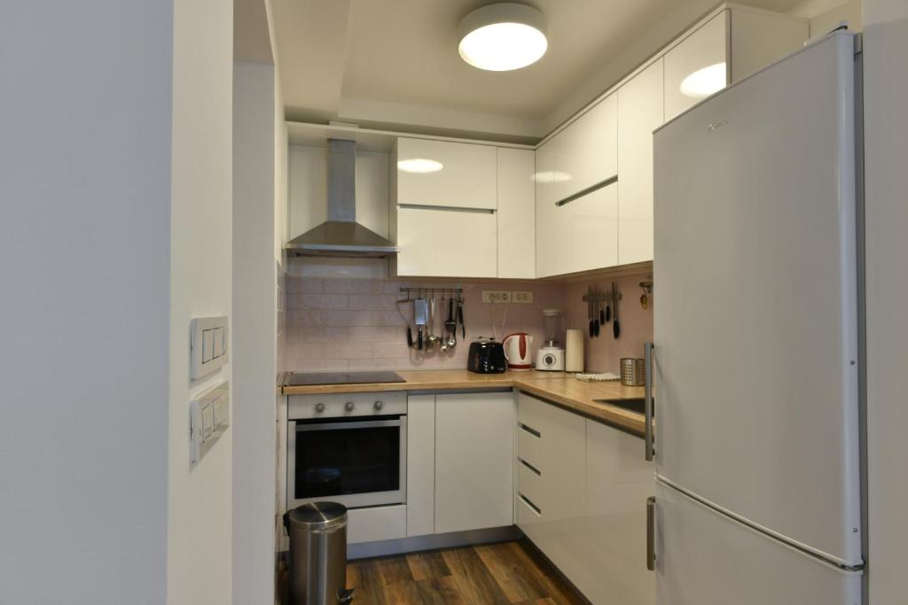 Kuchyňa alebo kuchynka v ubytovaní Apartment Larissa