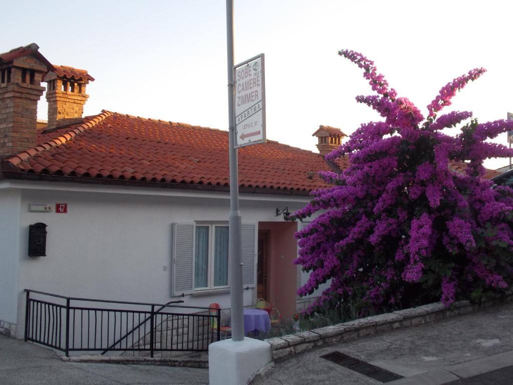 a purple bush in front of a house with a building at Apartments & Rooms Karmen in Portorož