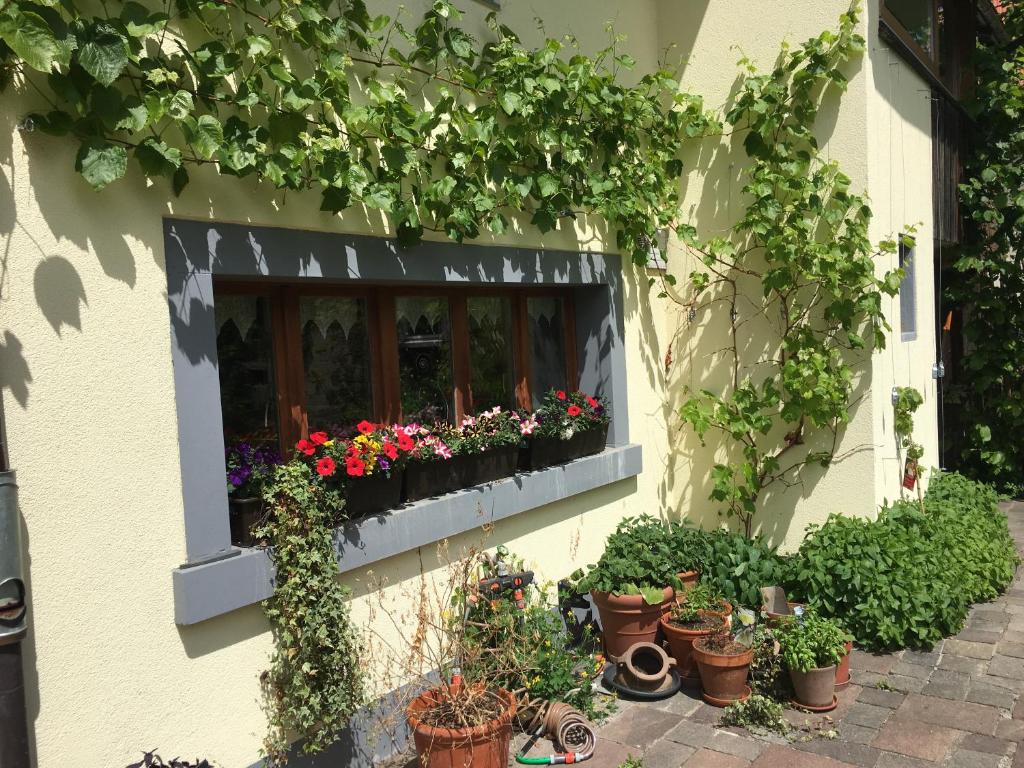 une fenêtre avec des plantes en pot sur le côté du bâtiment dans l'établissement Ferienhaus mit Naturgarten, à Dachsen