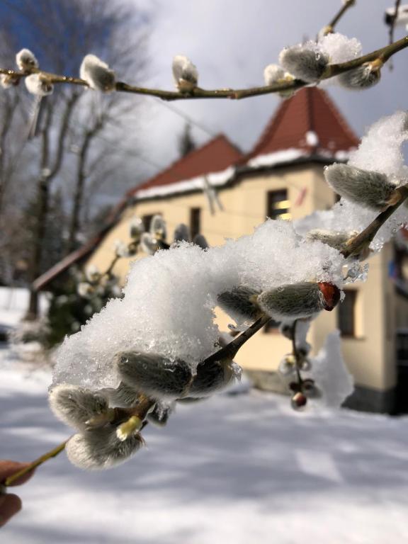 Willa Wieżyczki - 9