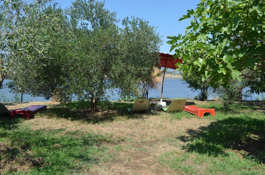 Pokrajina v okolici apartmaja