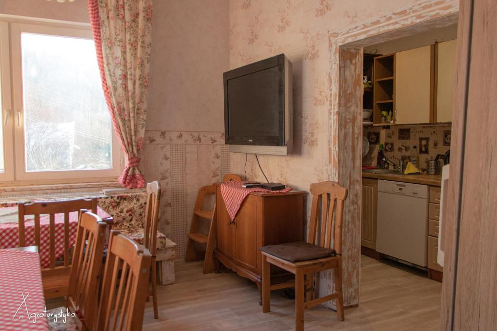 TV a/nebo společenská místnost v ubytování Agroturystyka Nad Jeziorem-Osada Indiańska